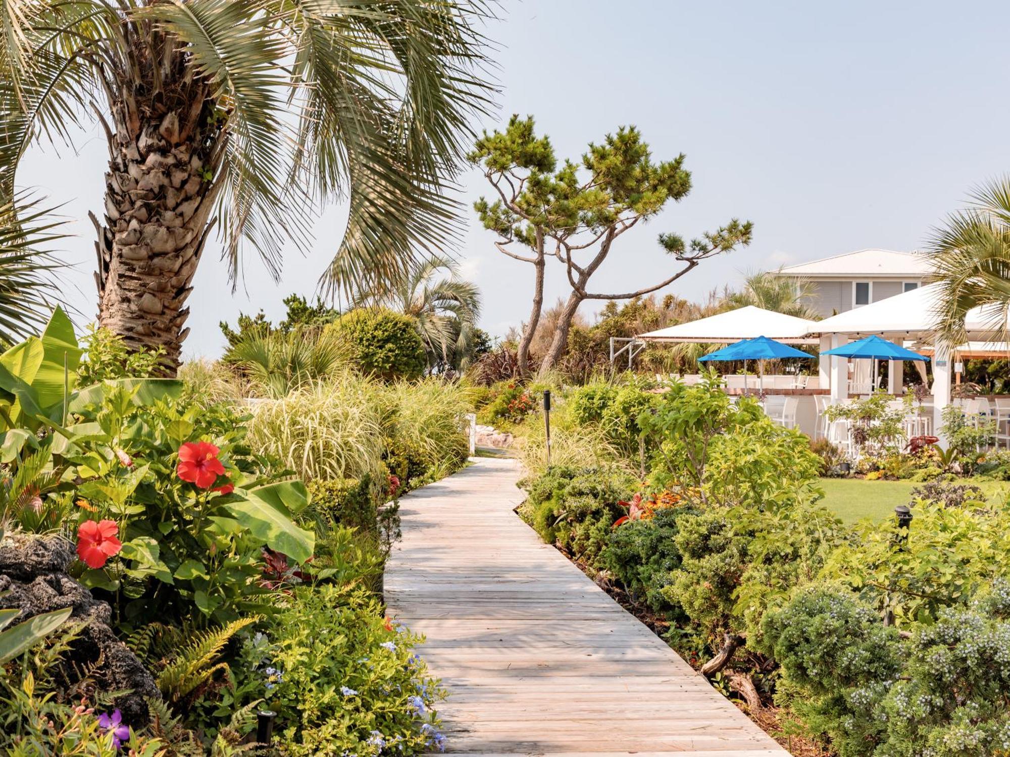 Trailborn Surf & Sound Hotel Wrightsville Beach Buitenkant foto